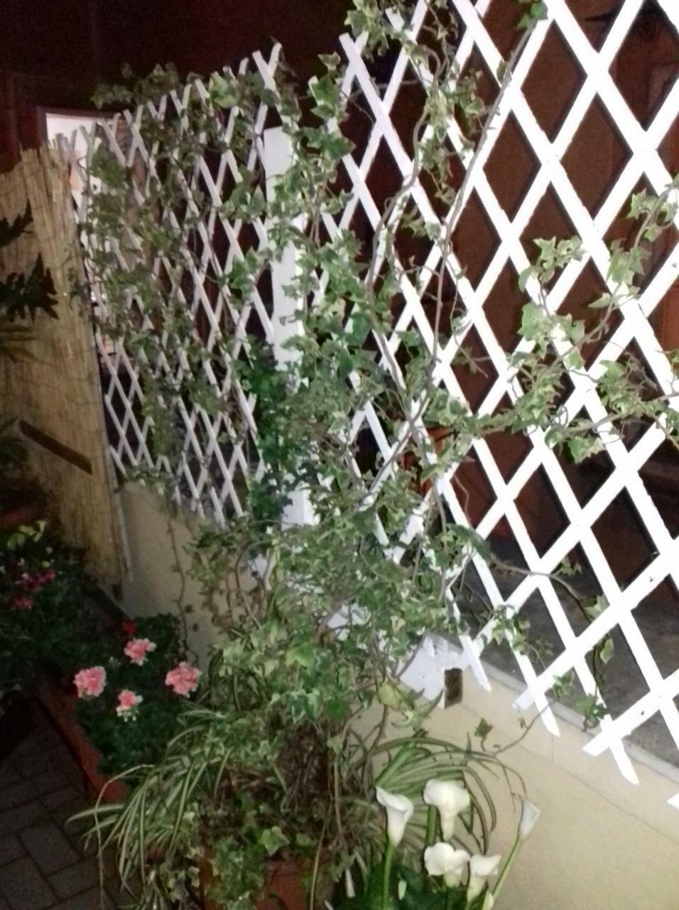 La Terrazza Di Dante Bed & Breakfast Napoli Dış mekan fotoğraf